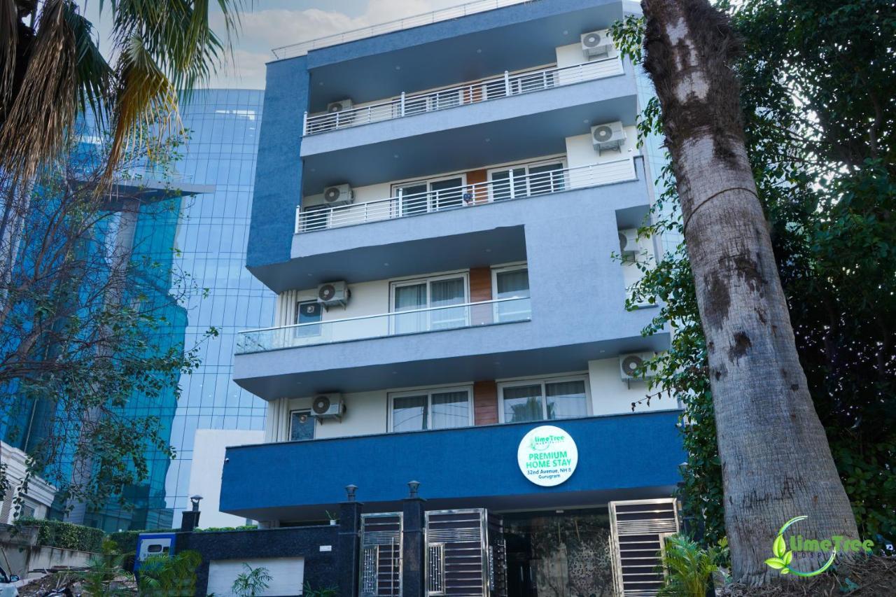 Lime Tree Hotel Near 32Nd Avenue Sector 29 Gurgaon Eksteriør billede