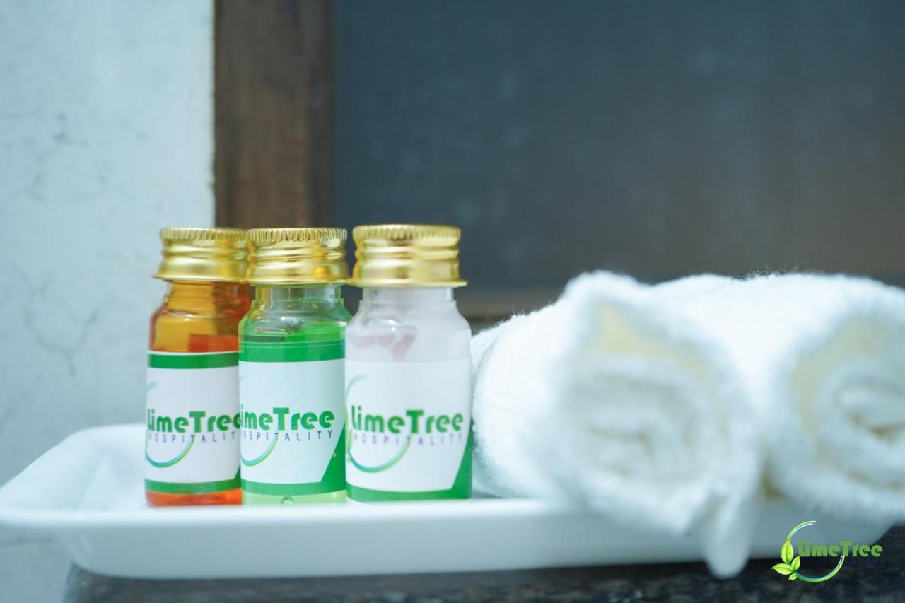 Lime Tree Hotel Near 32Nd Avenue Sector 29 Gurgaon Eksteriør billede