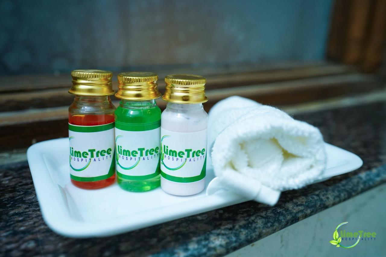 Lime Tree Hotel Near 32Nd Avenue Sector 29 Gurgaon Eksteriør billede