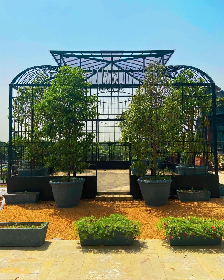 Lime Tree Hotel Near 32Nd Avenue Sector 29 Gurgaon Eksteriør billede